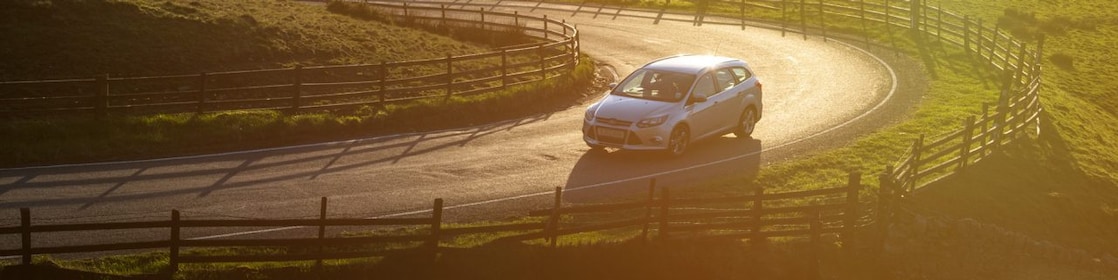 Car driving in the green field