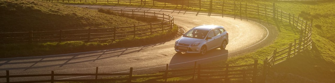 car driving in green field